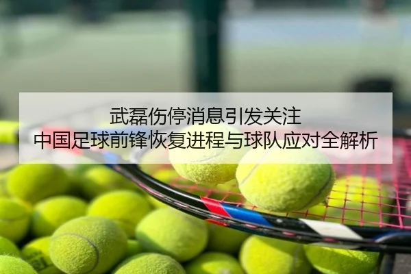 武磊伤停消息引发关注 中国足球前锋恢复进程与球队应对全解析