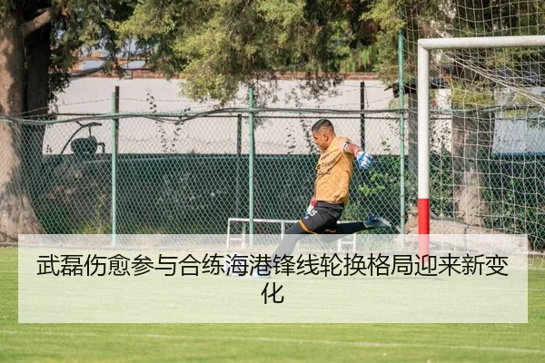 武磊伤愈参与合练海港锋线轮换格局迎来新变化