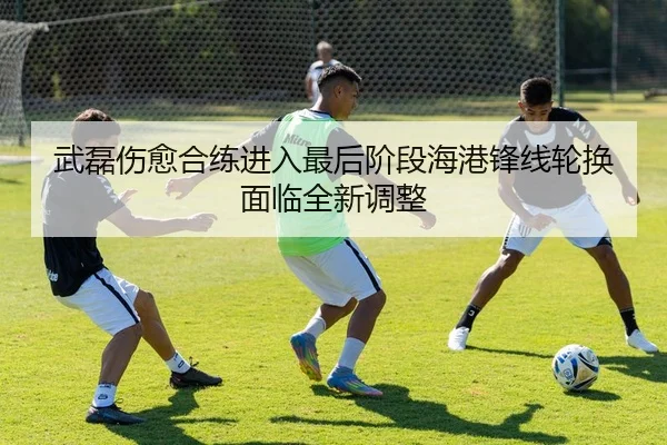 武磊伤愈合练进入最后阶段海港锋线轮换面临全新调整